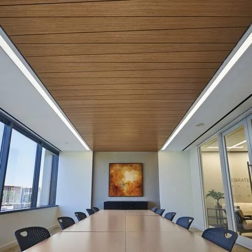 Starlight Ceiling
